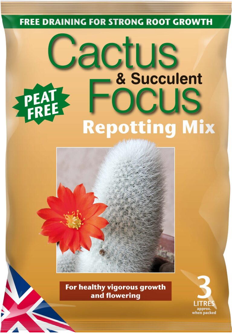5025644921097 1 Focus Cactus Succulent Potting Mix 3L.jpg